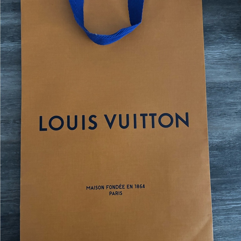 Authentic Louis Vuitton Medium Bag